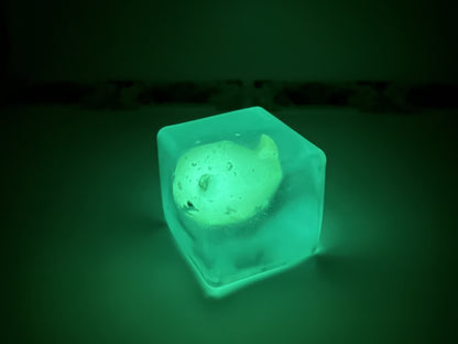 Glow In The Dark Whale Cube Squishy Sensory Fidget Toy Maltose Filled