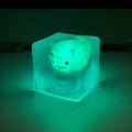 Glow In The Dark Whale Cube Squishy Sensory Fidget Toy Maltose Filled